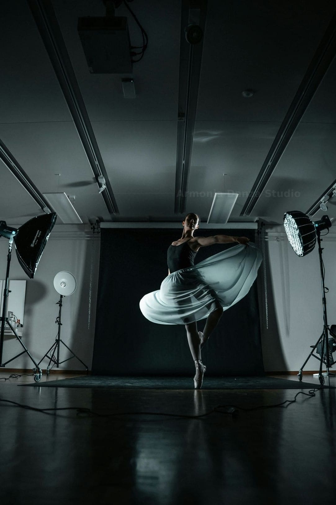 Armonia Danza Studio 14